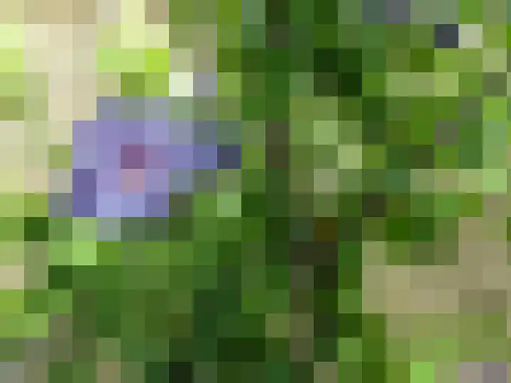 Julianalaan 30 Delft thumbnail 20