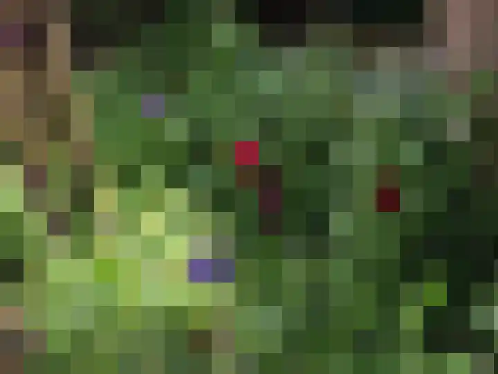 Julianalaan 30 Delft thumbnail 21