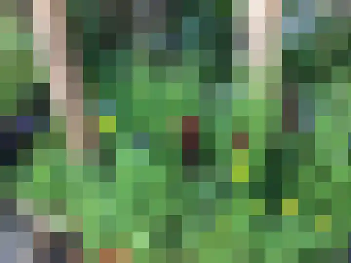 Julianalaan 30 Delft thumbnail 22