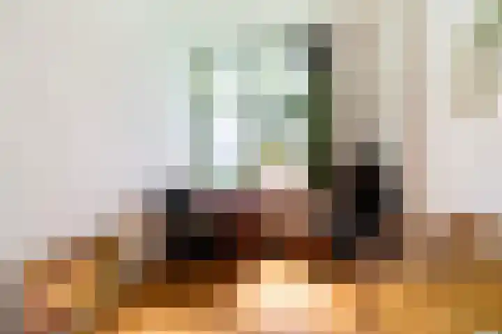 Julianalaan 30 Delft thumbnail 23