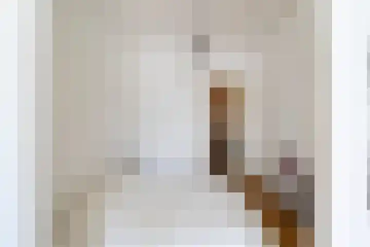 Julianalaan 30 Delft thumbnail 25