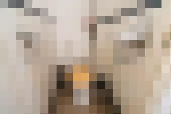 Julianalaan 30 Delft thumbnail 9