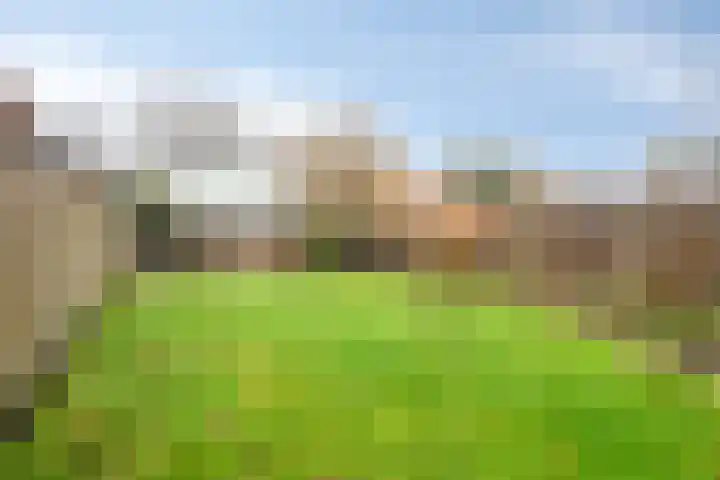Julianalaan 30 Harderwijk thumbnail 36