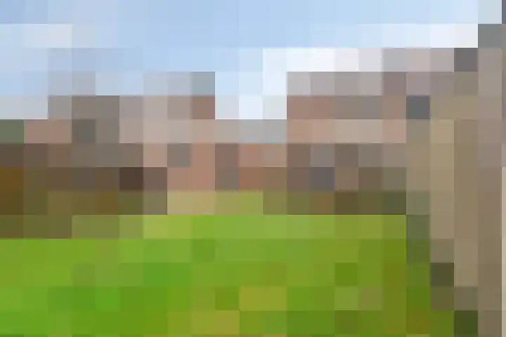 Julianalaan 30 Harderwijk thumbnail 37