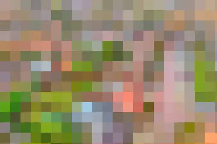 Julianalaan 30 Harderwijk thumbnail 45
