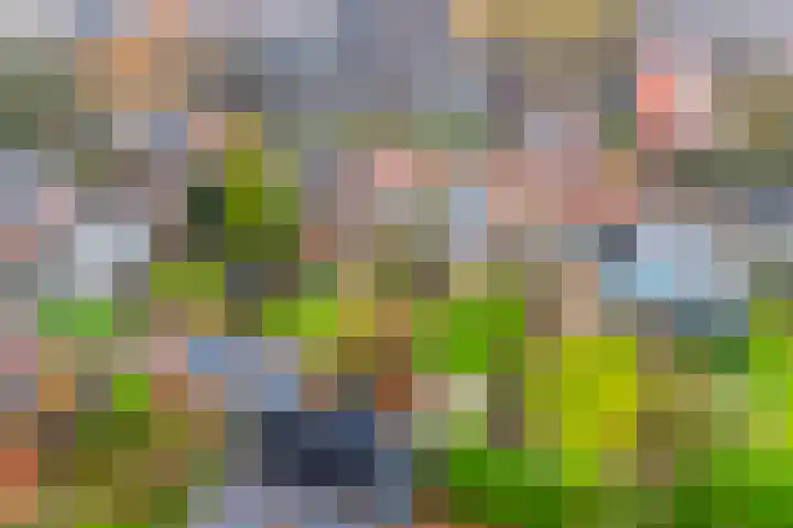 Julianalaan 30 Harderwijk thumbnail 47