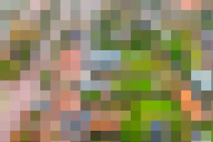 Julianalaan 30 Harderwijk thumbnail 48