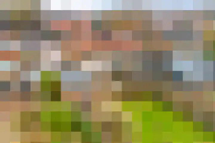 Julianalaan 30 Harderwijk thumbnail 49