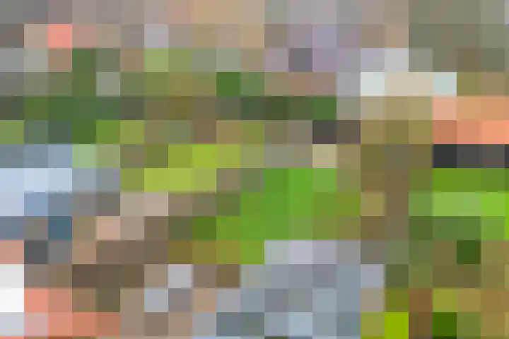 Julianalaan 30 Harderwijk thumbnail 51