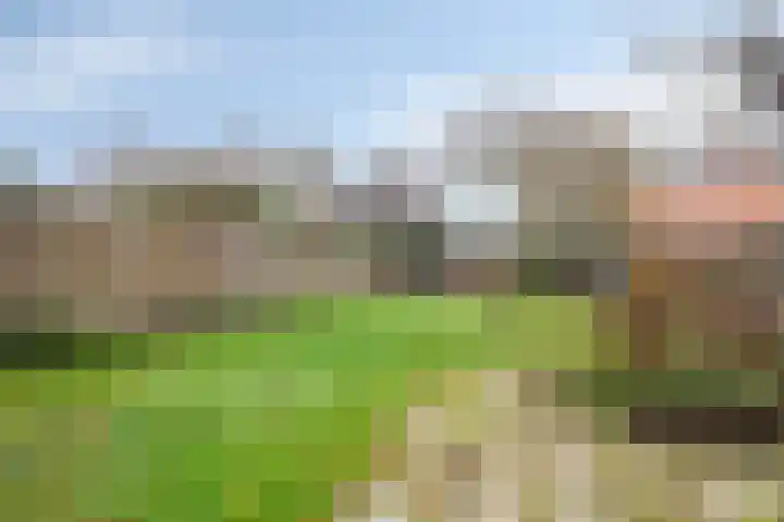 Julianalaan 30 Harderwijk thumbnail 6