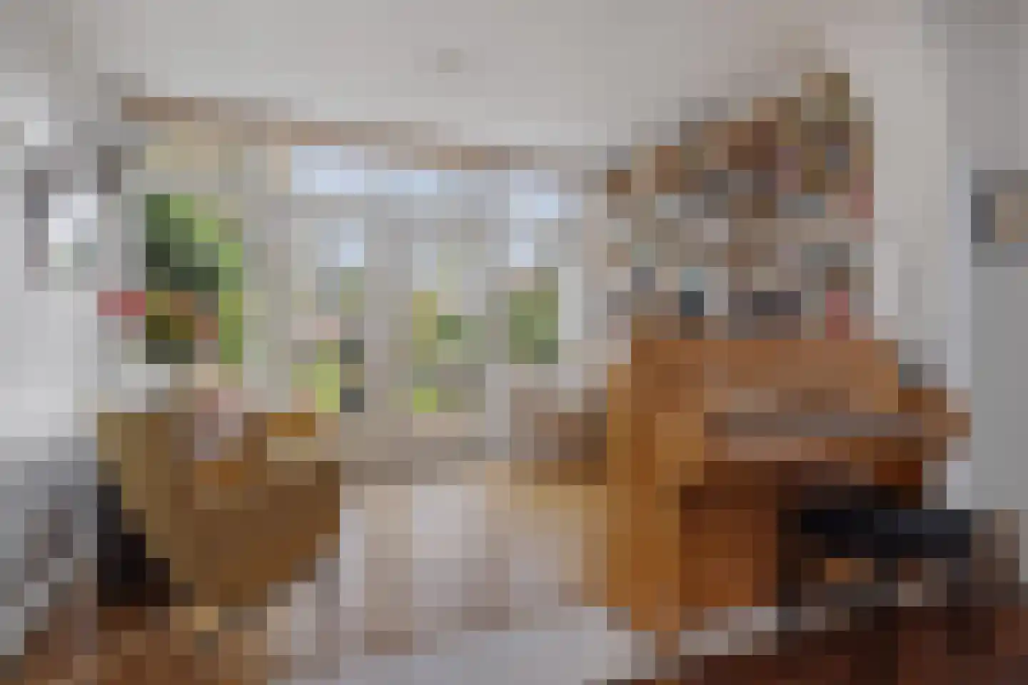 Julianalaan 30 Helmond thumbnail 16