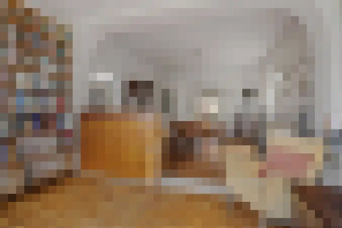 Julianalaan 30 Helmond thumbnail 17