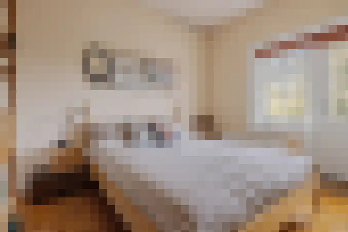 Julianalaan 30 Helmond thumbnail 23