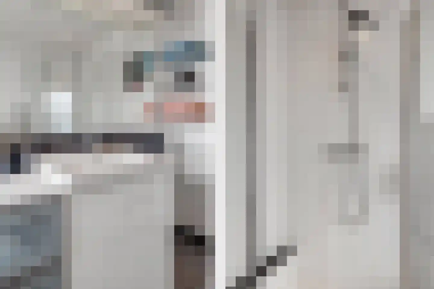 Julianalaan 30 Helmond thumbnail 27