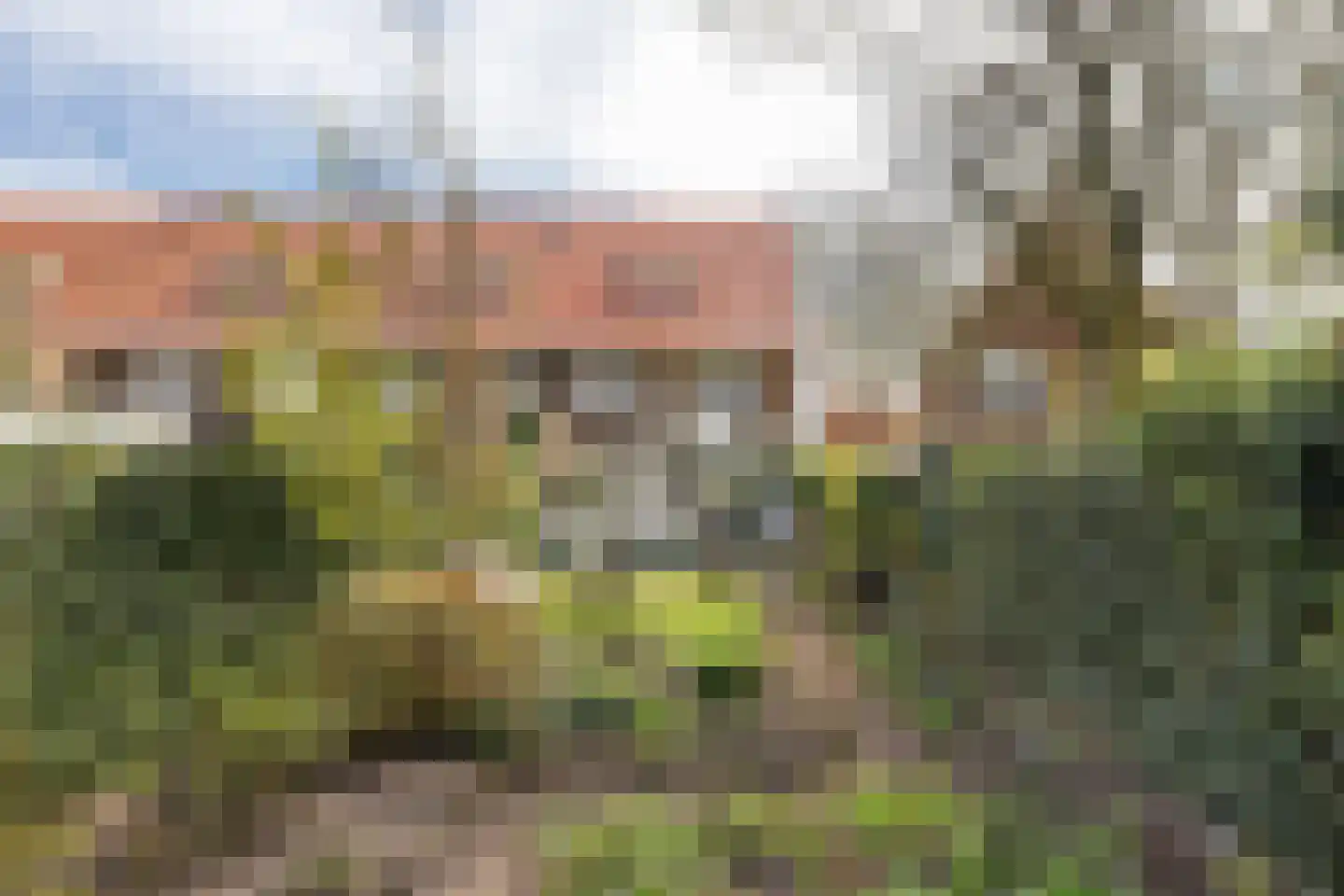 Julianalaan 30 Helmond thumbnail 32