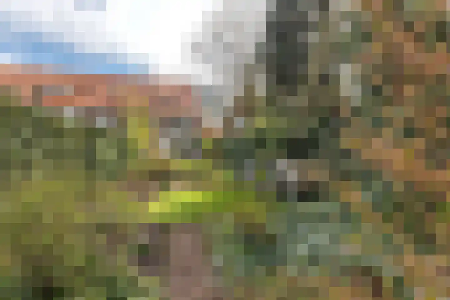 Julianalaan 30 Helmond thumbnail 36