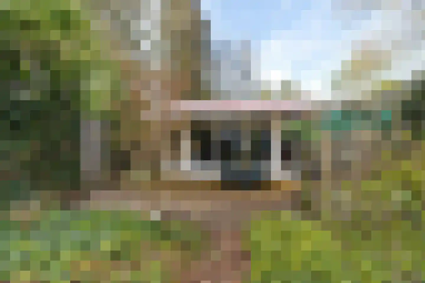 Julianalaan 30 Helmond thumbnail 38