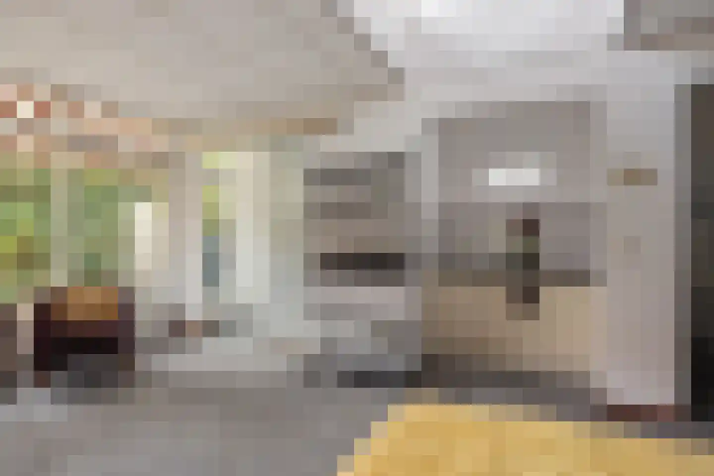 Julianalaan 30 Helmond thumbnail 41