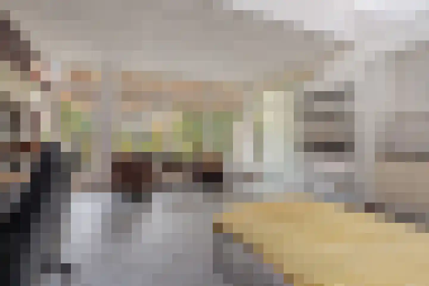Julianalaan 30 Helmond thumbnail 42