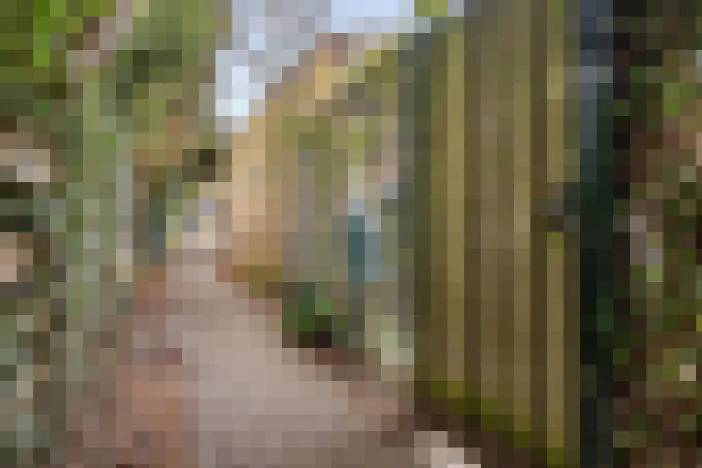 Julianalaan 30 Helmond thumbnail 45