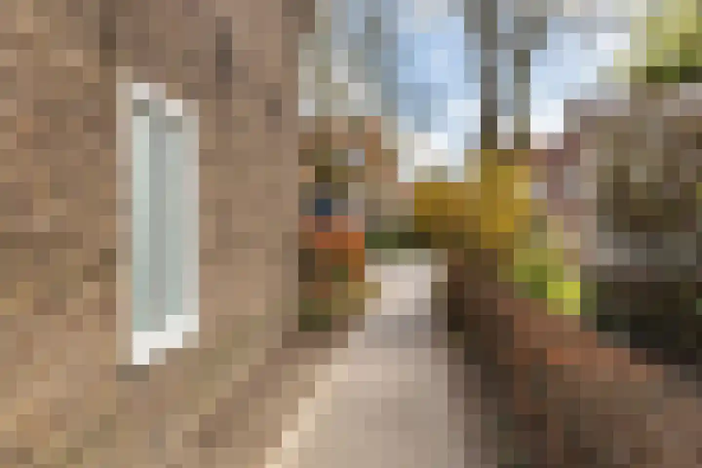 Julianalaan 30 Helmond thumbnail 46