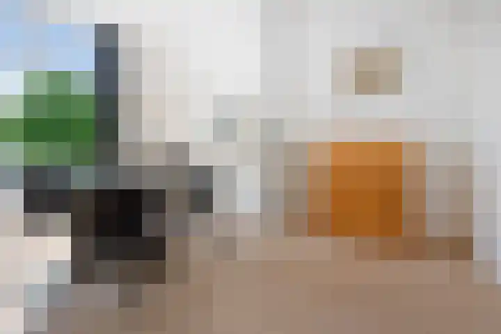 Julianalaan 301 A Haarlem thumbnail 15