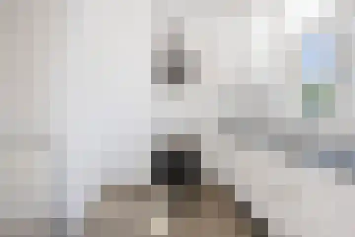 Julianalaan 301 A Haarlem thumbnail 18