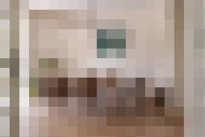 Julianalaan 302 Haarlem thumbnail 14