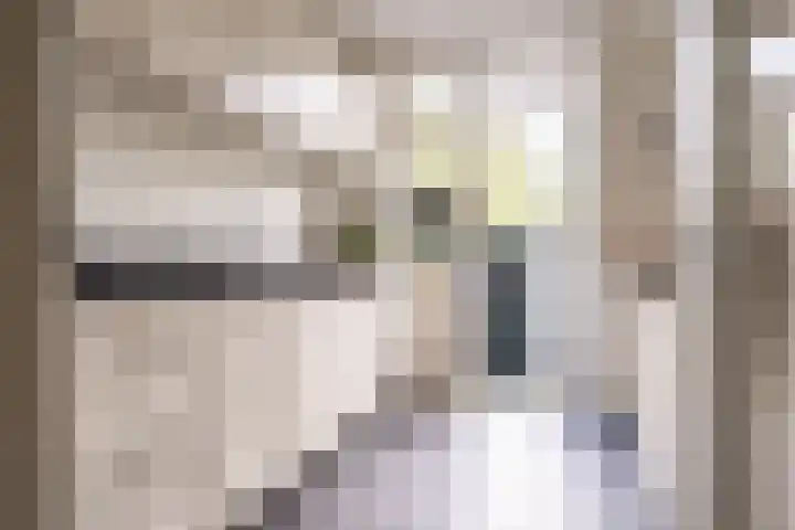 Julianalaan 302 Haarlem thumbnail 16