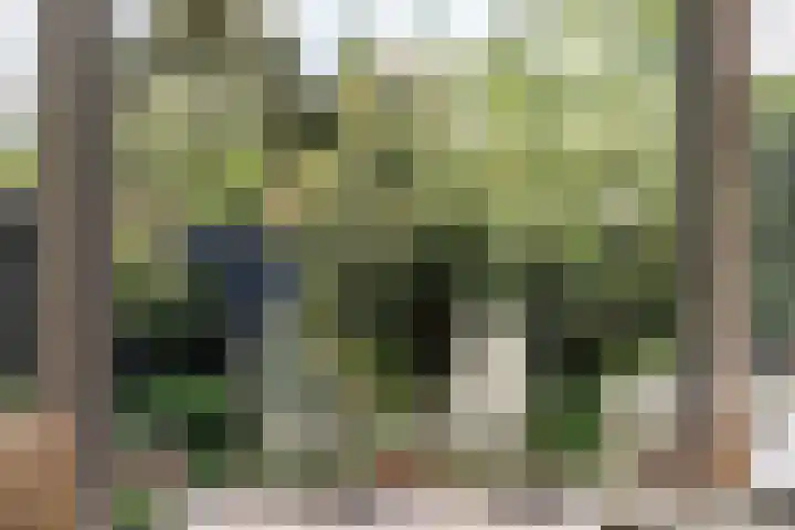 Julianalaan 302 Haarlem thumbnail 21