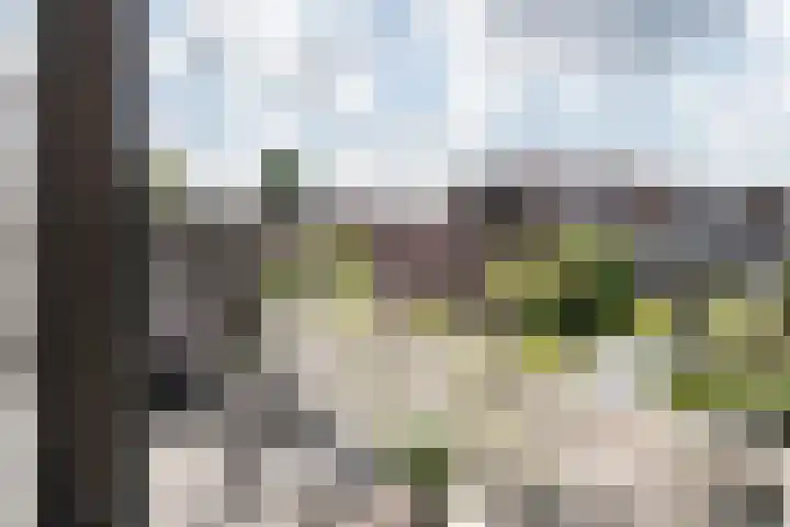 Julianalaan 302 Haarlem thumbnail 30