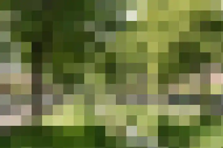 Julianalaan 302 Haarlem thumbnail 45