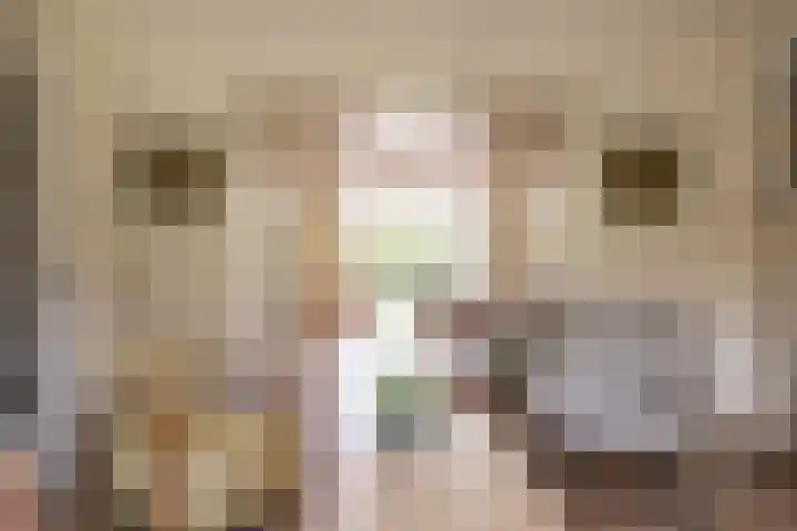 Julianalaan 302 Haarlem thumbnail 51