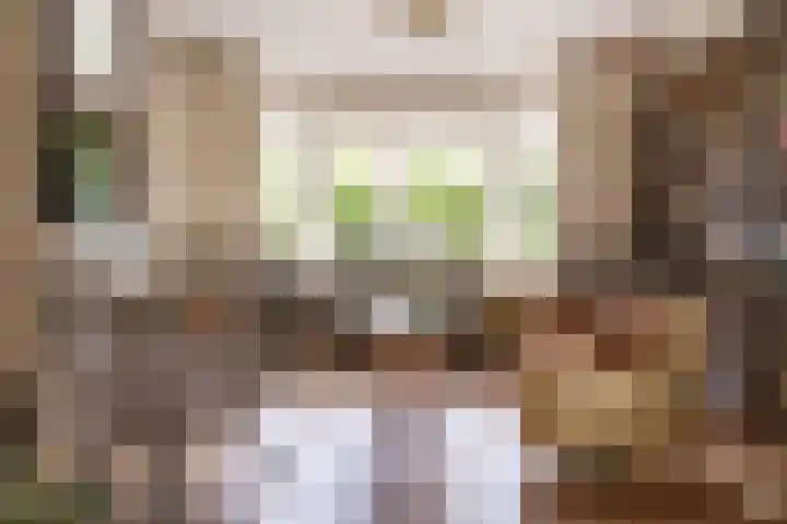 Julianalaan 302 Haarlem thumbnail 7