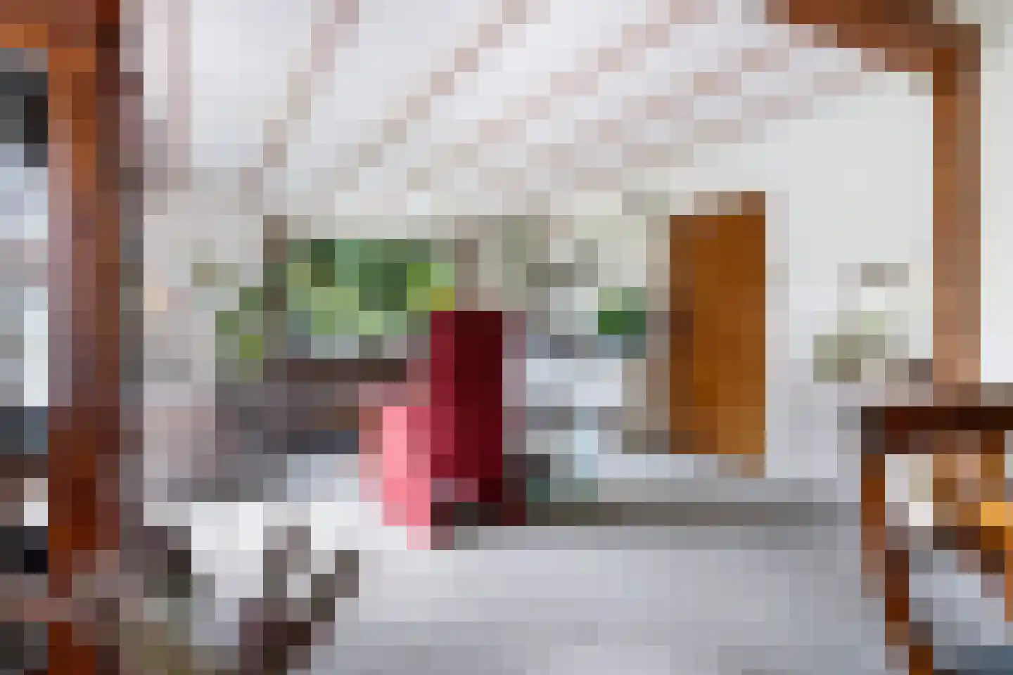 Julianalaan 31 Leeuwarden thumbnail 11
