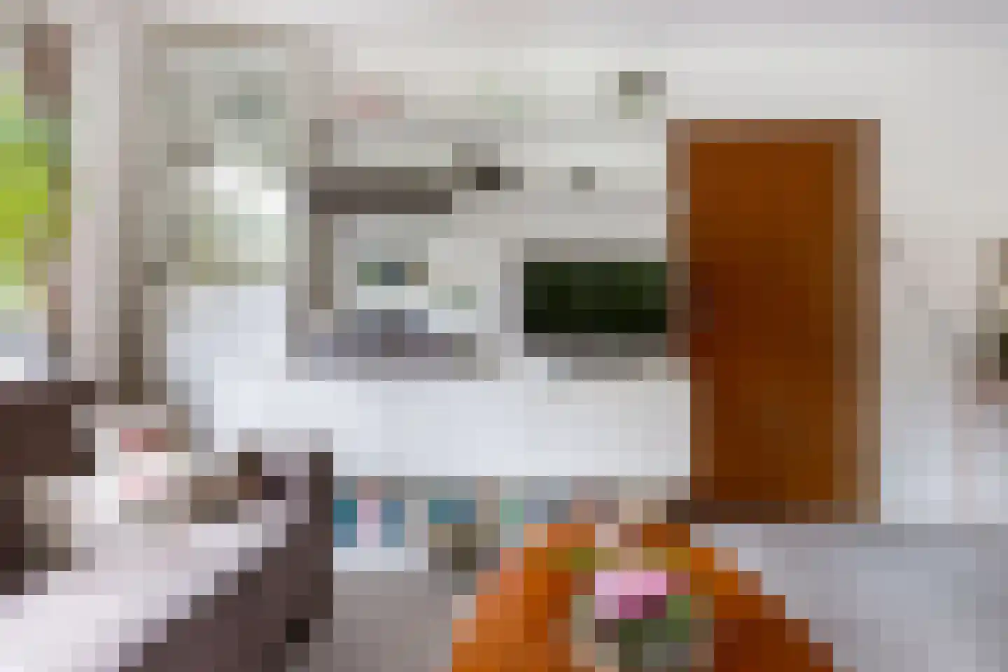 Julianalaan 31 Leeuwarden thumbnail 12
