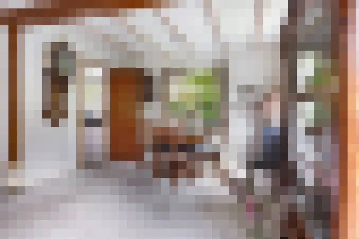Julianalaan 31 Leeuwarden thumbnail 13