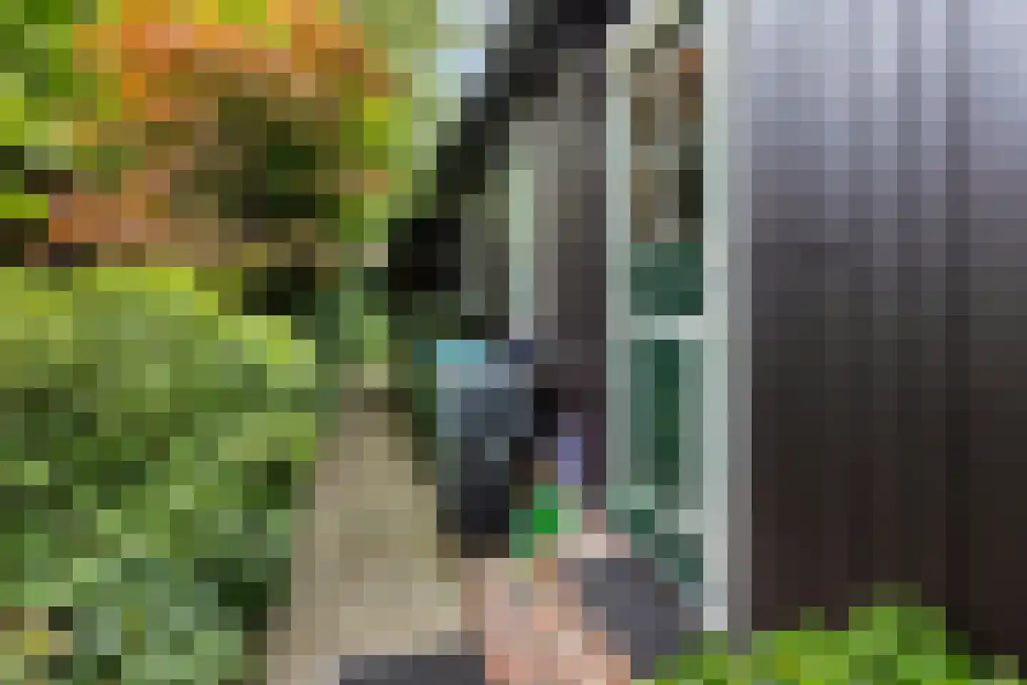 Julianalaan 31 Leeuwarden thumbnail 23