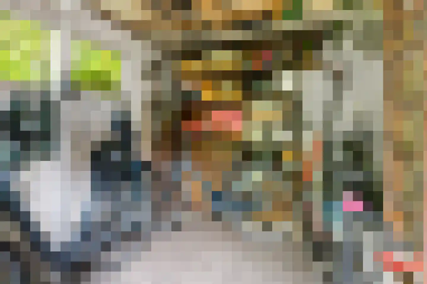 Julianalaan 31 Leeuwarden thumbnail 25