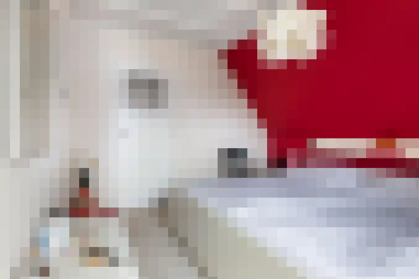 Julianalaan 31 Leeuwarden thumbnail 29