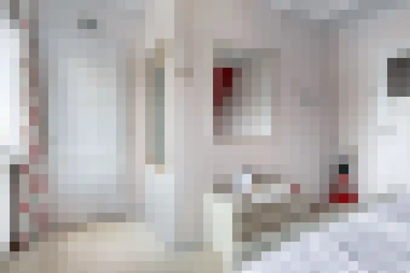 Julianalaan 31 Leeuwarden thumbnail 30