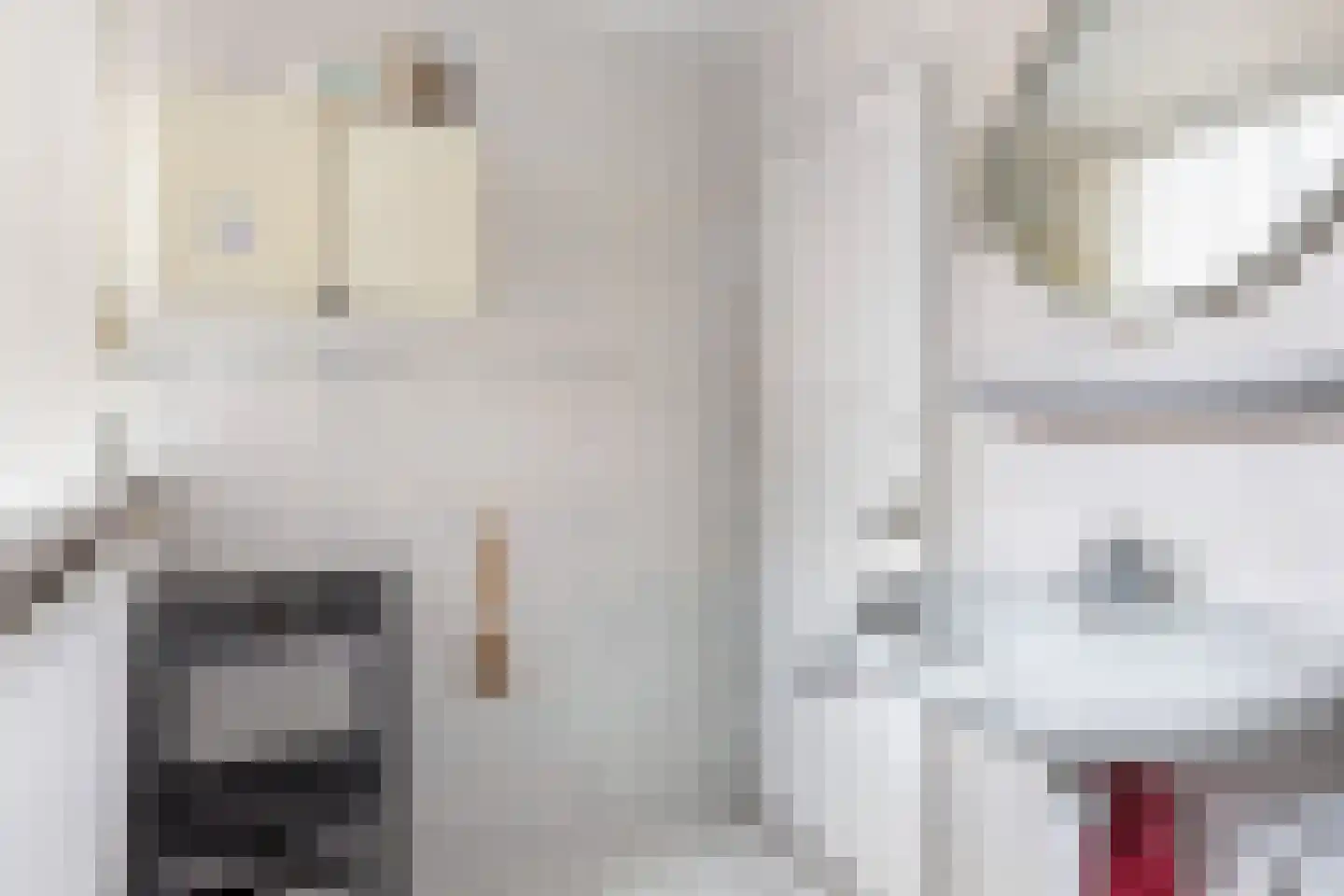 Julianalaan 31 Leeuwarden thumbnail 37
