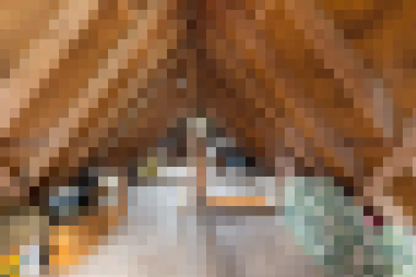 Julianalaan 31 Leeuwarden thumbnail 40