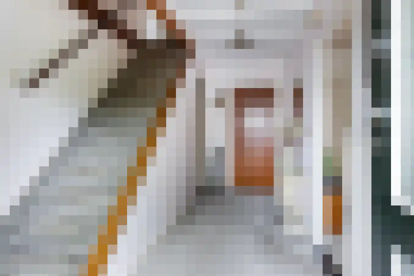 Julianalaan 31 Leeuwarden thumbnail 6