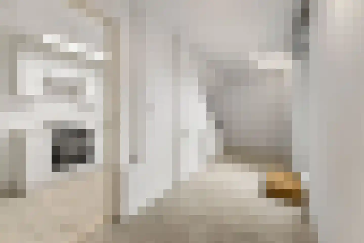 Julianalaan 32 A Bilthoven thumbnail 6