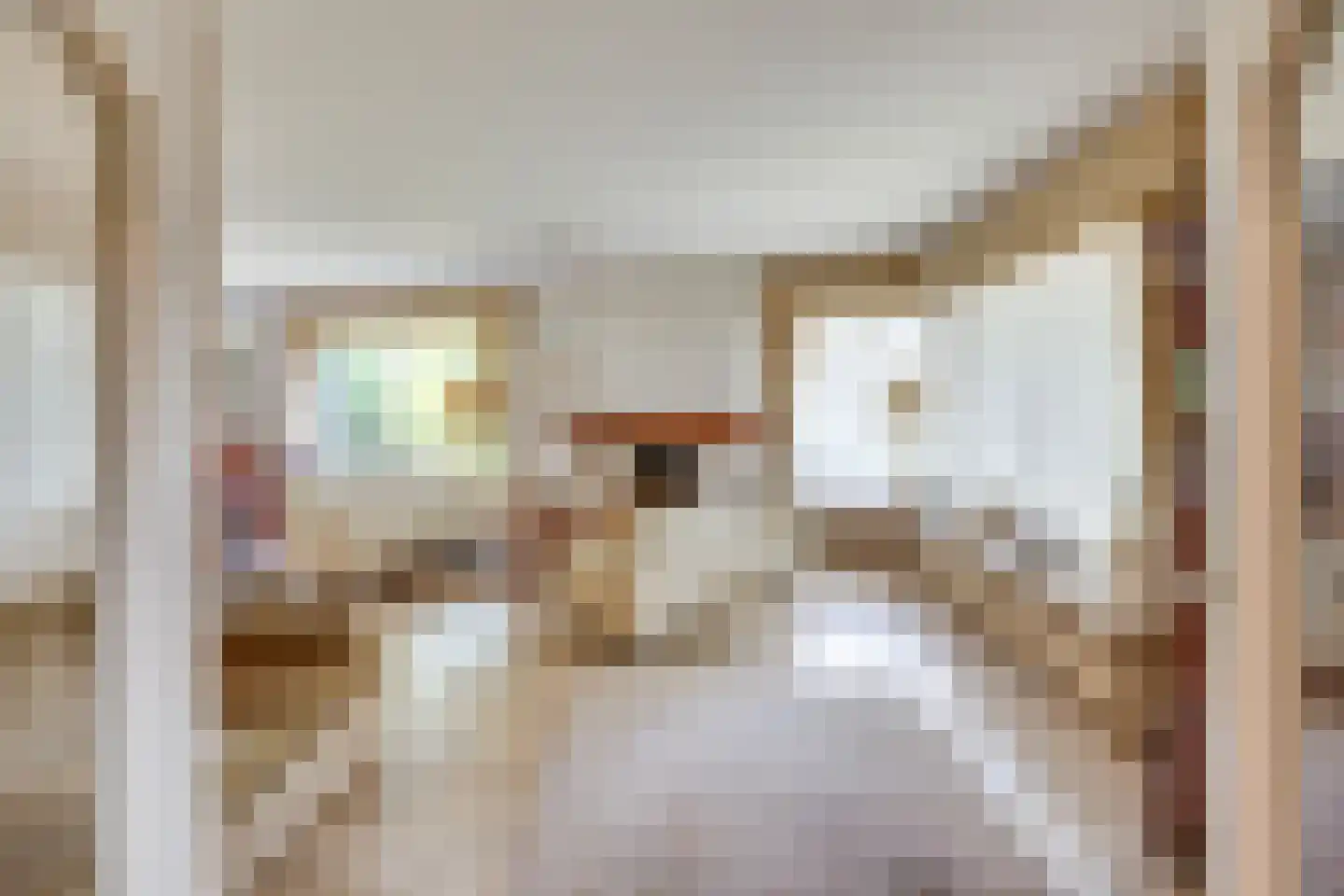 Julianalaan 33 Heeze thumbnail 11