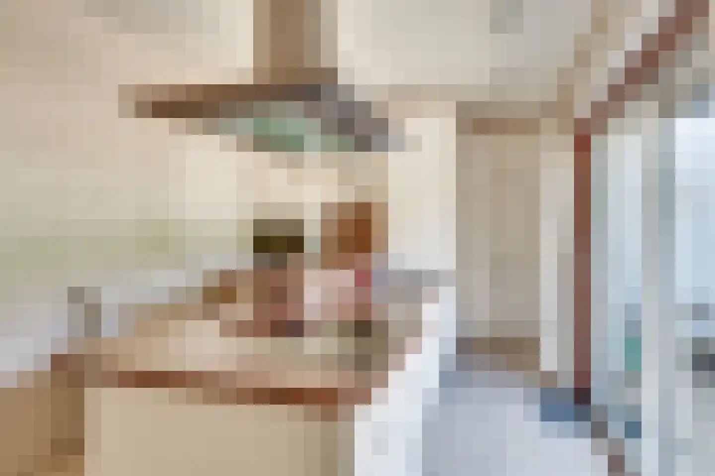 Julianalaan 33 Heeze thumbnail 18