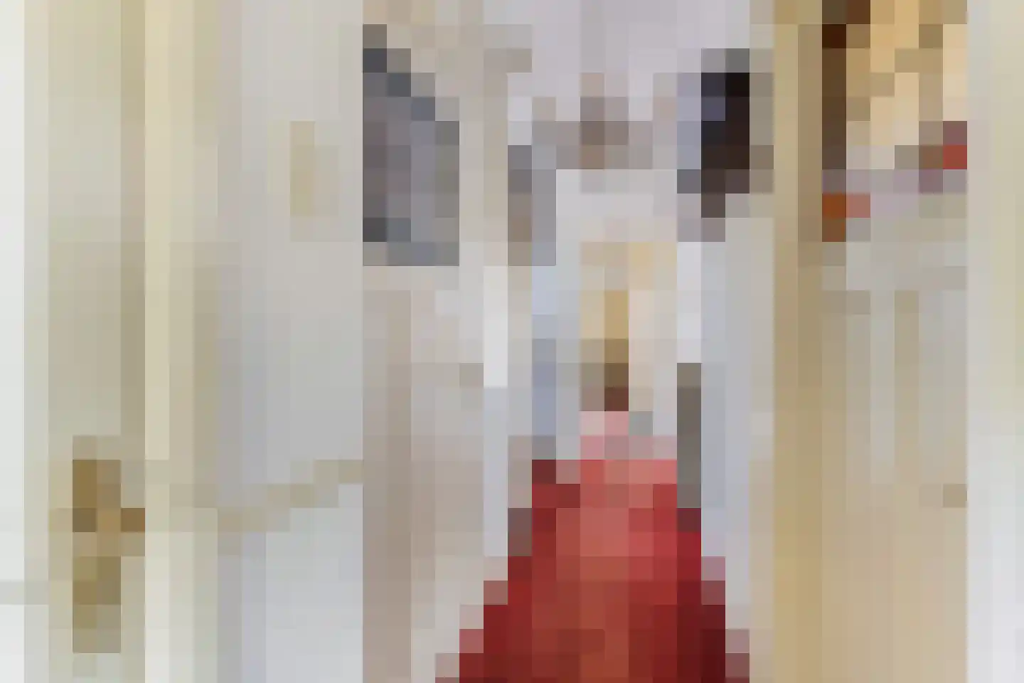 Julianalaan 33 Soest thumbnail 10