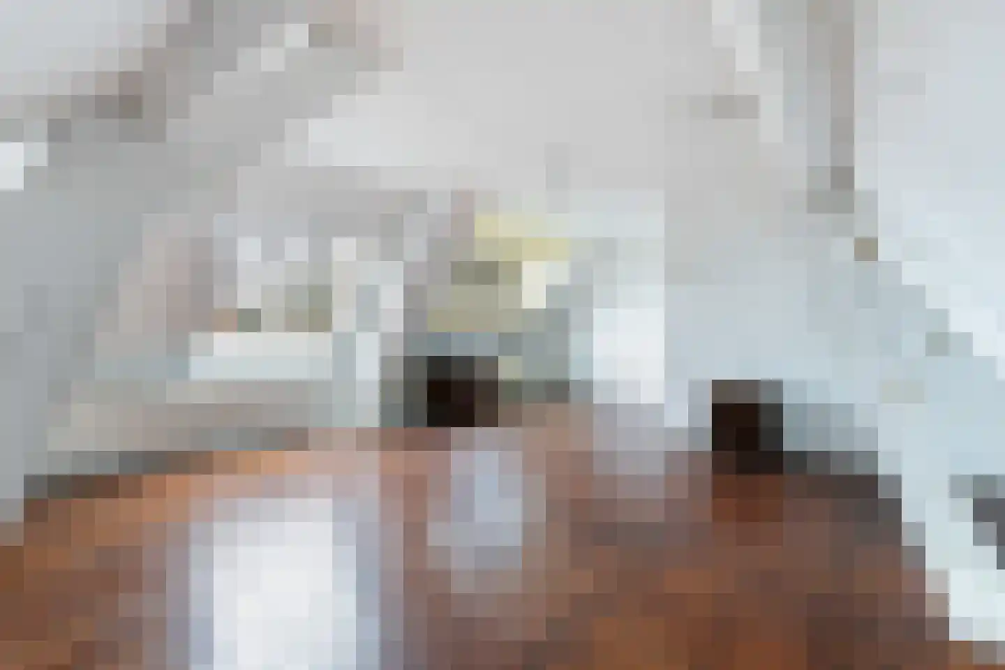 Julianalaan 33 Soest thumbnail 18