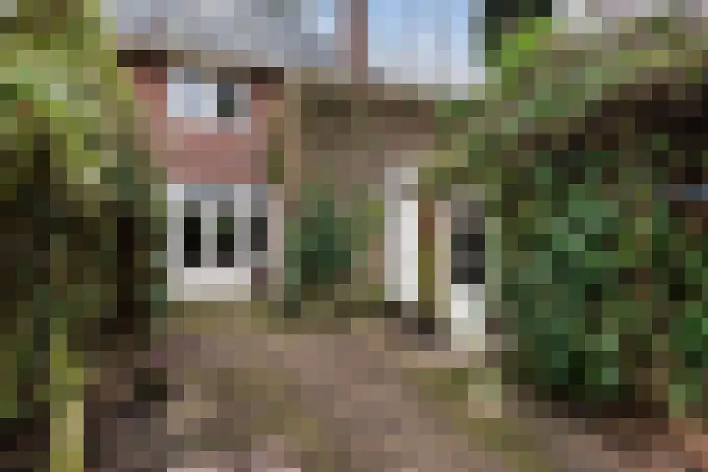 Julianalaan 33 Soest thumbnail 21